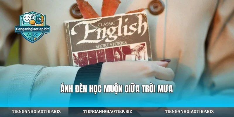 Ánh đèn học muộn giữa trời mưa