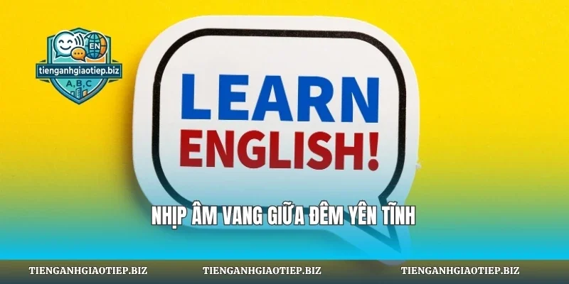 Nhịp âm vang giữa đêm yên tĩnh
