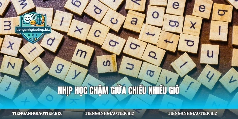 Nhịp học chậm giữa chiều nhiều gió