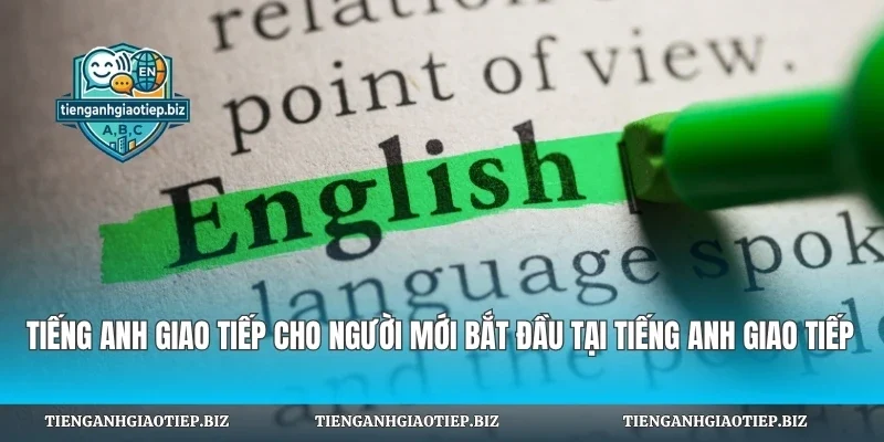 Tiếng Anh Giao Tiếp Cho Người Mới
